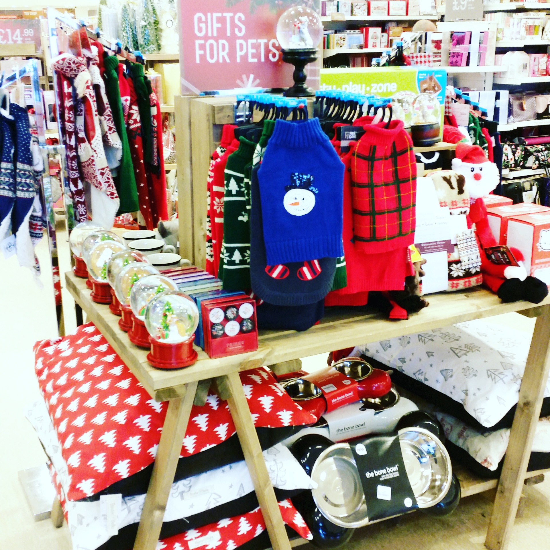 Lifestyle Chatter Christmas Shopping For Pets With HomeSense Boo & Maddie
