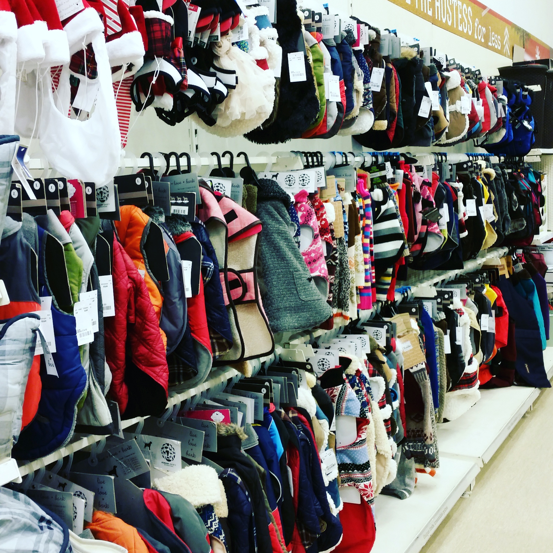 Lifestyle Chatter Christmas Shopping For Pets With HomeSense Boo & Maddie