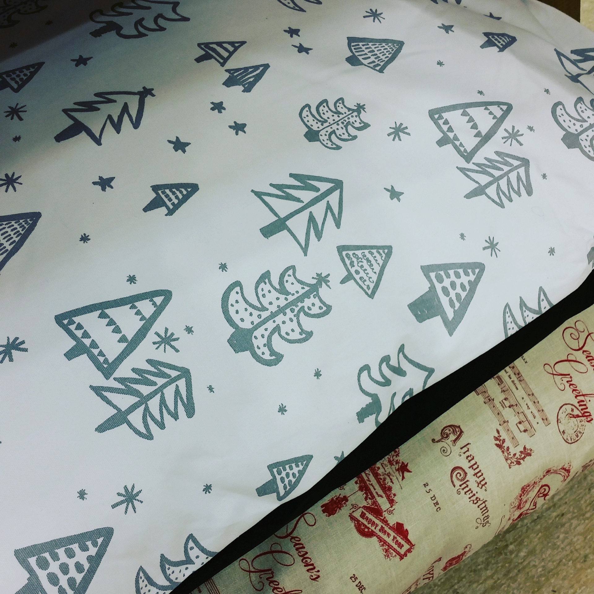 Lifestyle Chatter Christmas Shopping For Pets With HomeSense Boo & Maddie