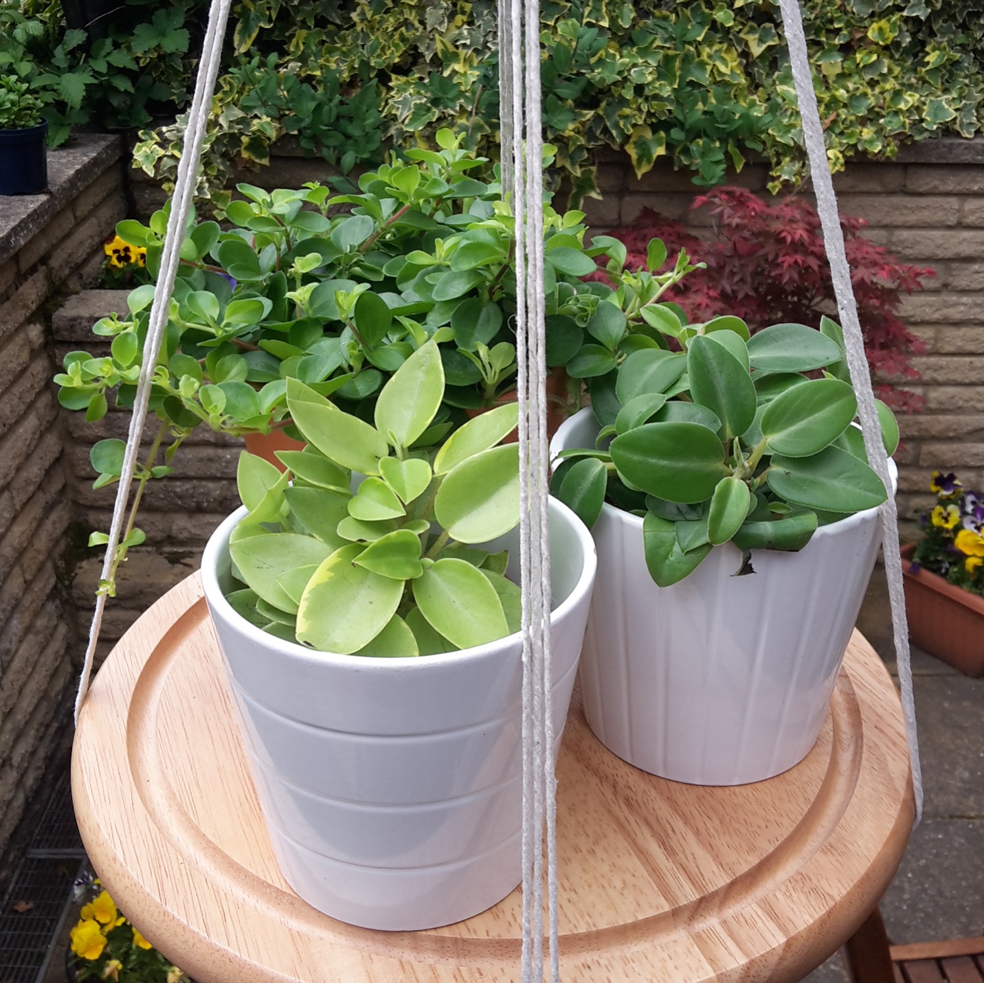 How To Make A Hanging Planter Boo & Maddie