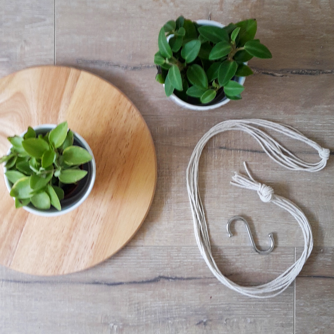 How To: Make A Hanging Planter - Boo & Maddie